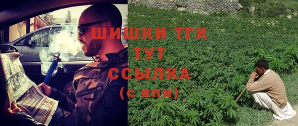 дмт Тобольск