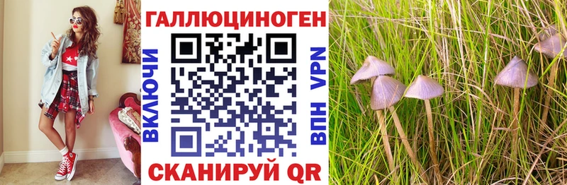 Галлюциногенные грибы мухоморы Нарьян-Мар