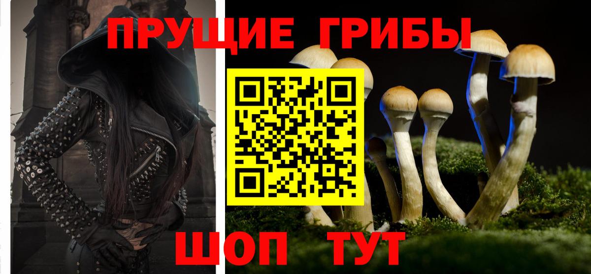 Галлюциногенные грибы прущие грибы  Псилоцибиновые грибы мухоморы  Нарьян-Мар  закладка  Вход с VPN 