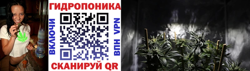 МАРИХУАНА семена  купить наркотики цена  mega ТОР  Нарьян-Мар 